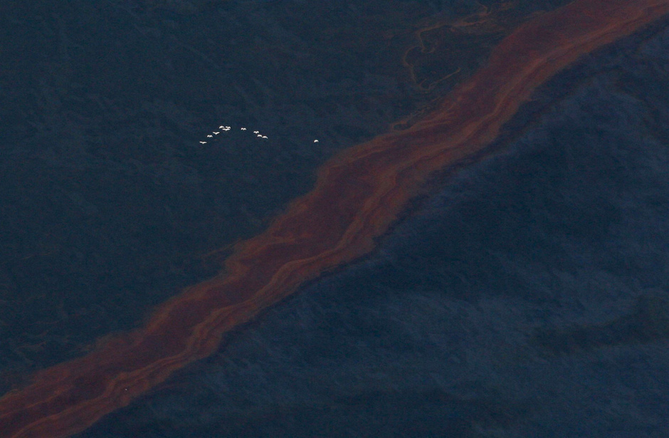 A Greenpeace felvételén madarak repülnek a Mexikói öbölben elnyúló
olajfolt felett.