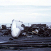 RA-5C Vigilante roncsai a pusztító tűz után