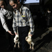 Izrael: Ortodox zsidó gyerekek a kaparot szertartáson csirkéknek adják át az elmúlt év bűneit Jeruzsálemben.